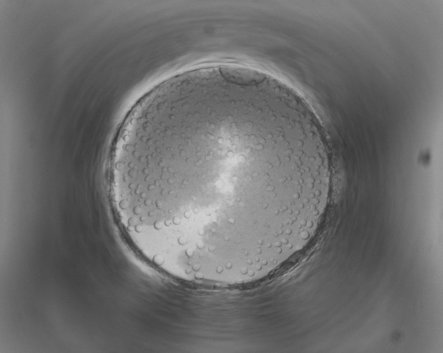 X0000116801519201001291529