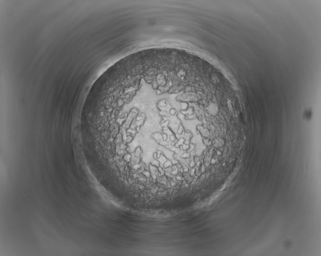X0000116801521201001291529