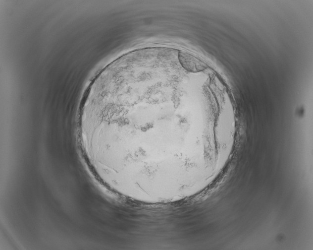 X0000116801525201001291529
