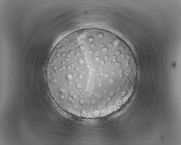X0000116801529201001291529