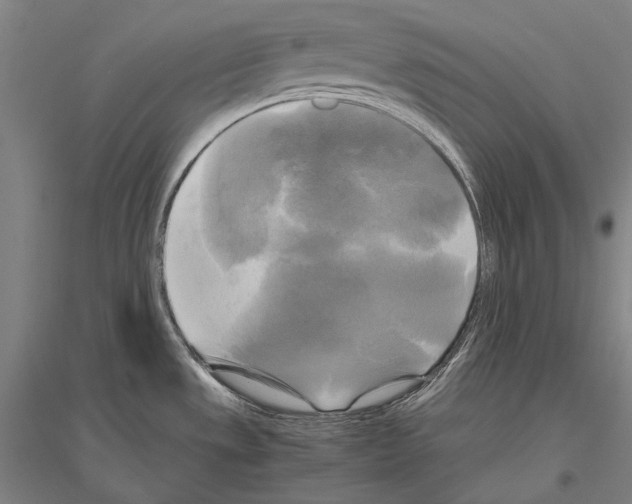 X0000116801533201001291529