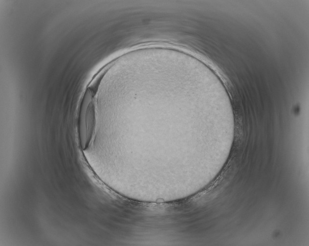 X0000116801534201001291529