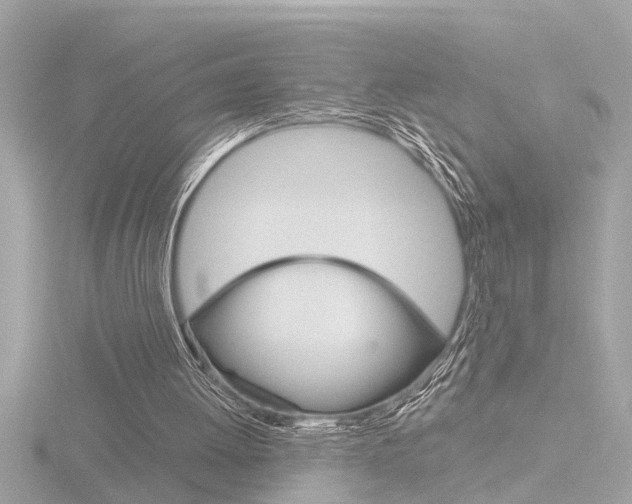 X0000116810052200912181102