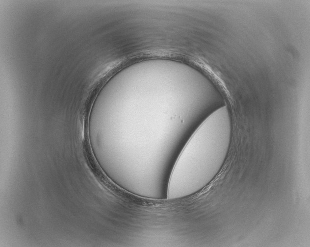 X0000116810062200912181102