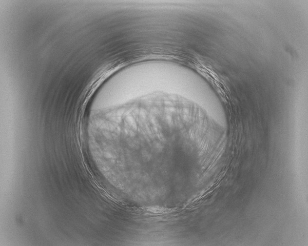 X0000116810098200912181102