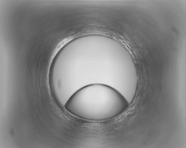 X0000116810104200912181102