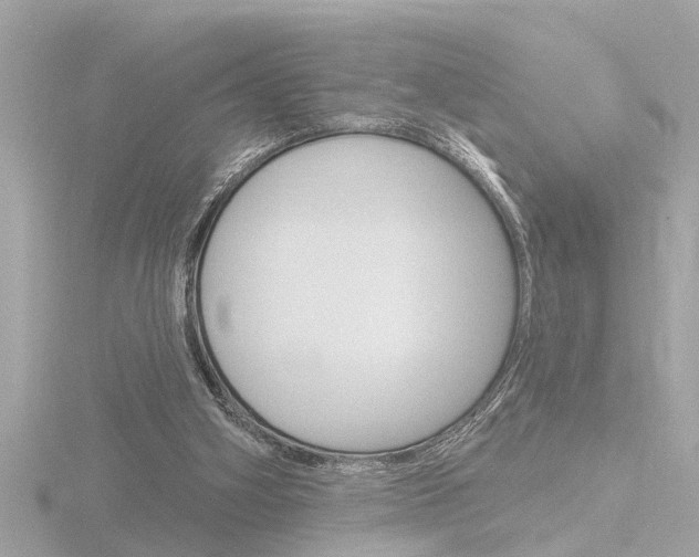 X0000116810106200912181102