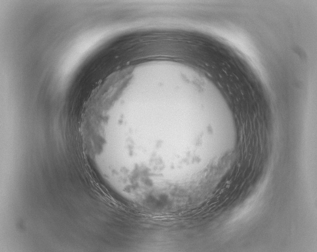 X0000116810146200912181101
