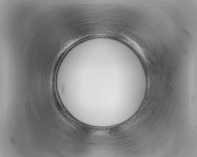 X0000116810155200912181101
