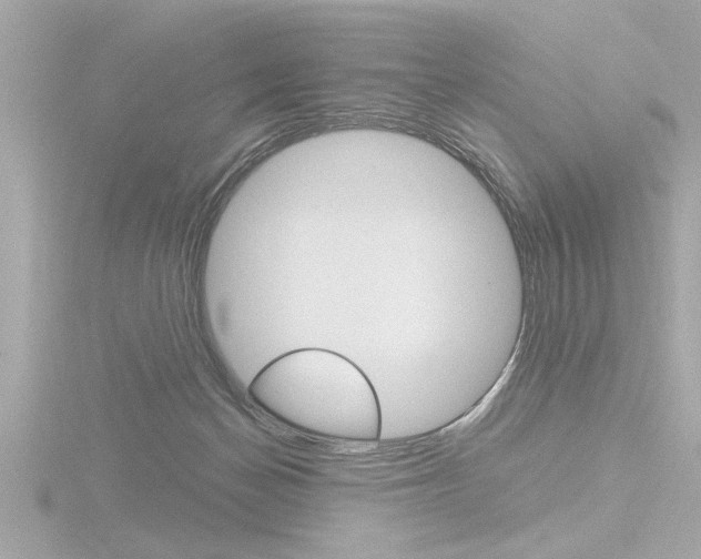 X0000116810174200912181101