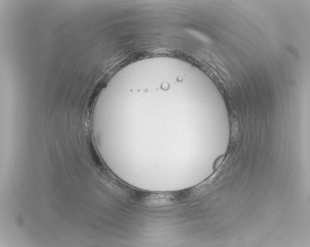 X0000116810179200912181101