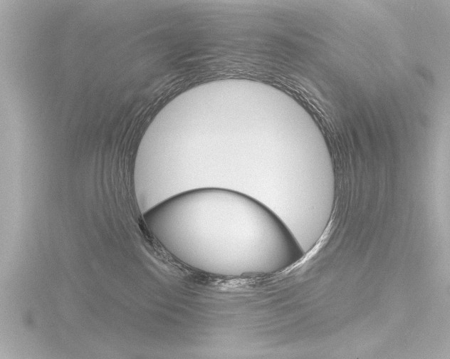 X0000116810186200912181102