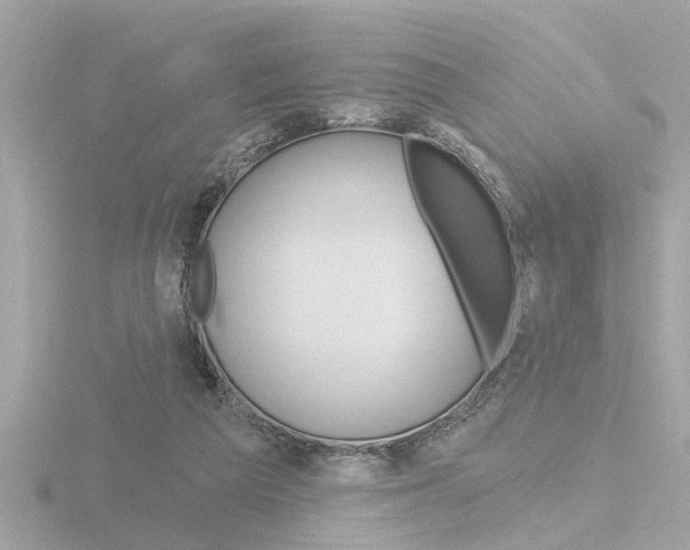 X0000116810209200912181101
