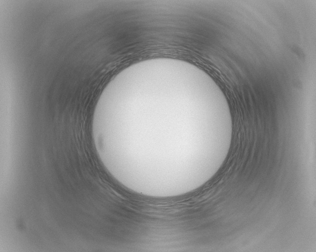 X0000116810223200912181101