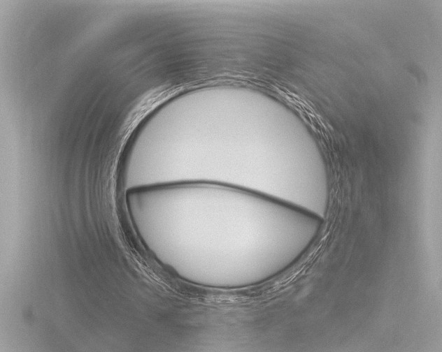 X0000116810242200912181100