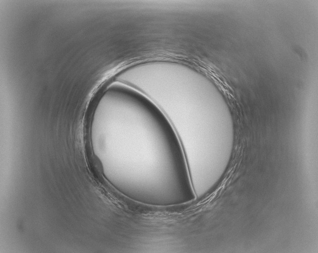 X0000116810244200912181100