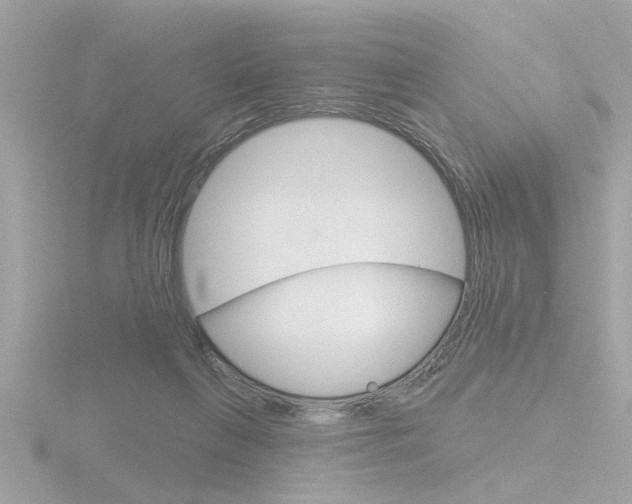 X0000116810263200912181100