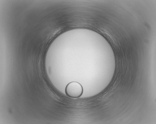 X0000116810264200912181100