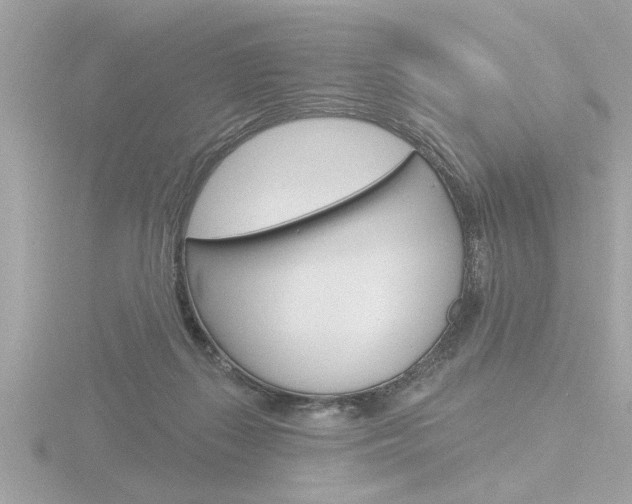 X0000116810267200912181100