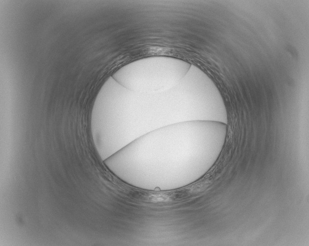 X0000116810275200912181100