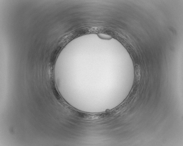 X0000116810276200912181100