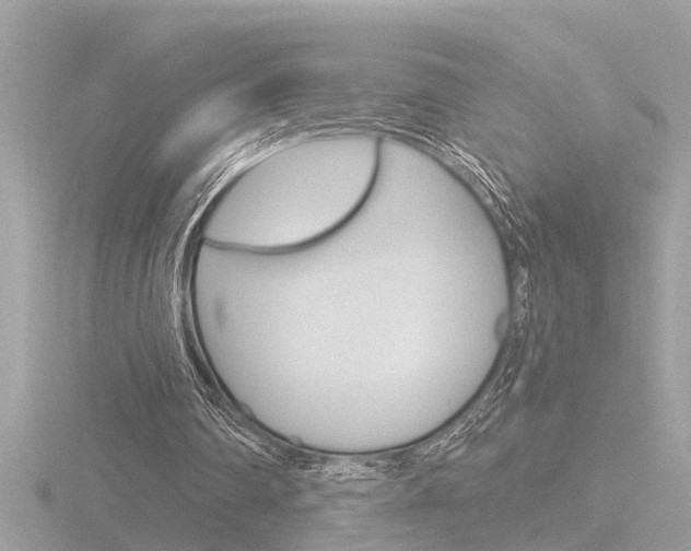 X0000116810290200912181100
