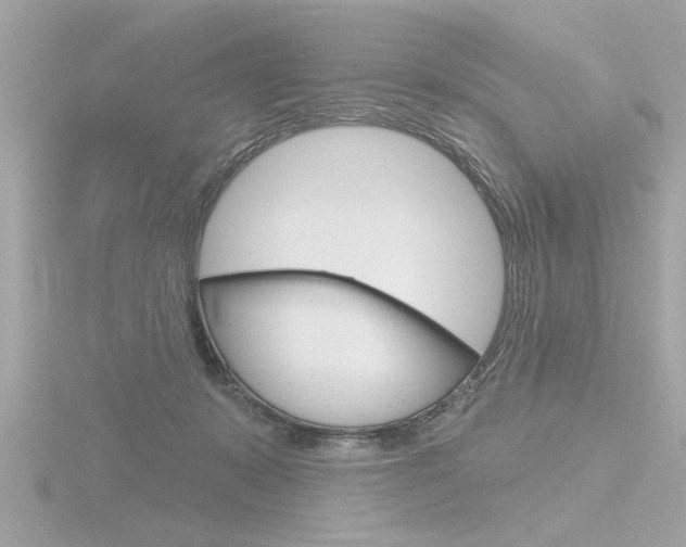 X0000116810319200912181059