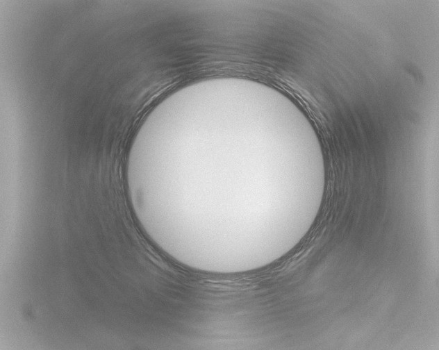 X0000116810325200912181059