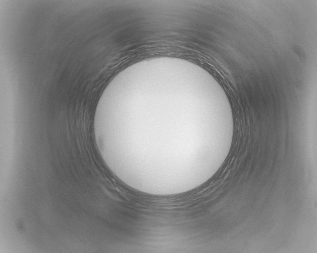 X0000116810328200912181059