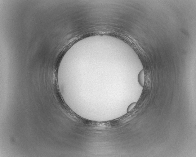 X0000116810330200912181059