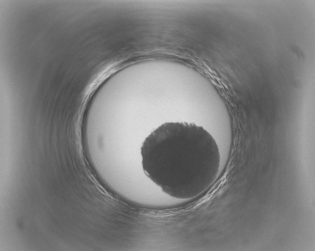 X0000116810341200912181059