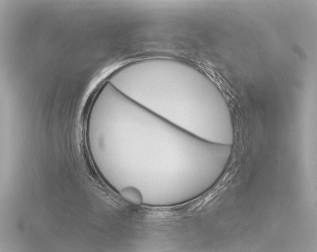 X0000116810342200912181059