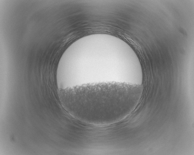 X0000116810379200912181059
