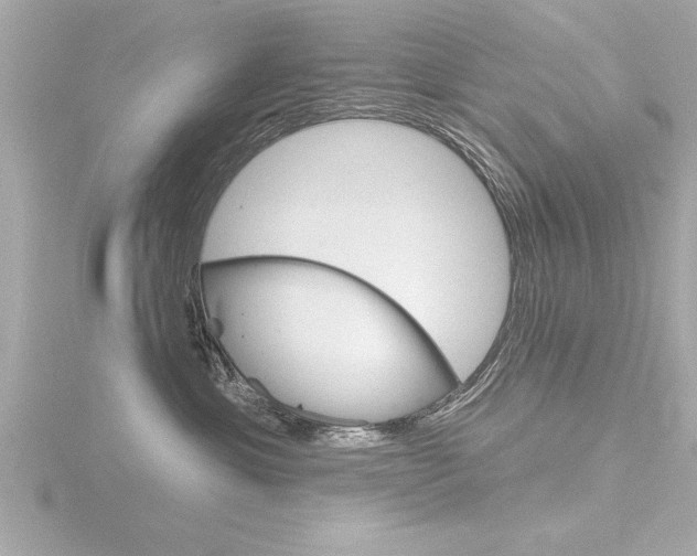 X0000116810429200912181058