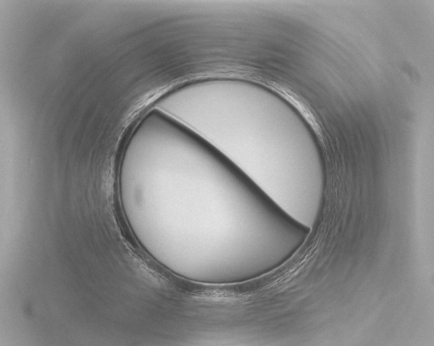 X0000116810437200912181057