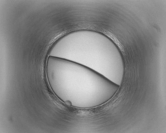 X0000116810442200912181057