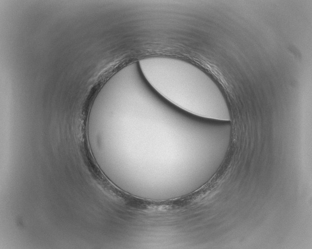 X0000116810450200912181058