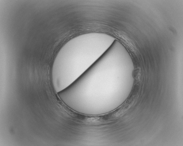X0000116810461200912181058