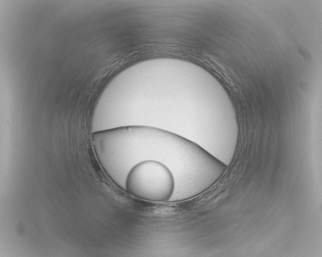 X0000116810462200912181058