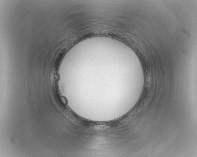 X0000116810468200912181058