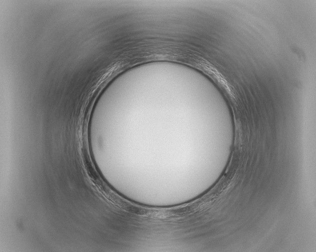 X0000116810482200912181057