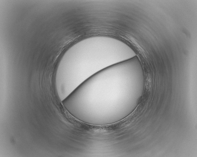 X0000116810500200912181057