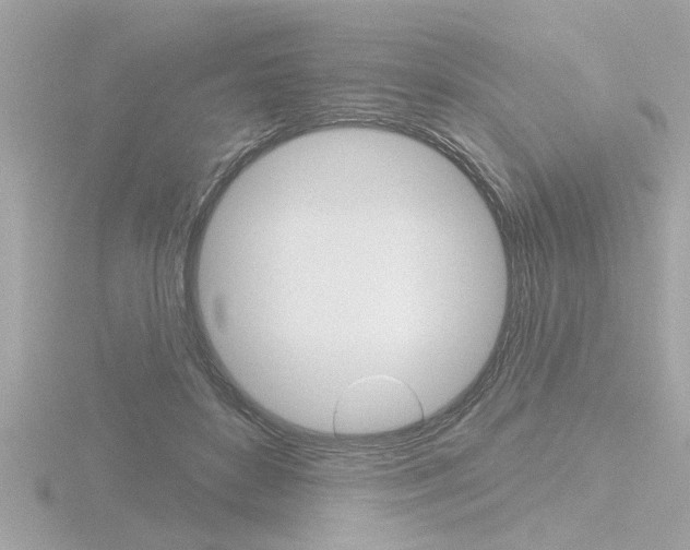 X0000116810504200912181057