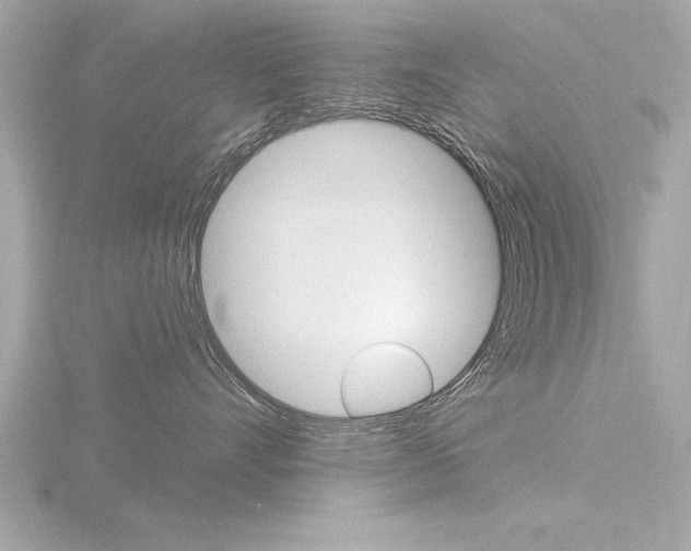 X0000116810528200912181057