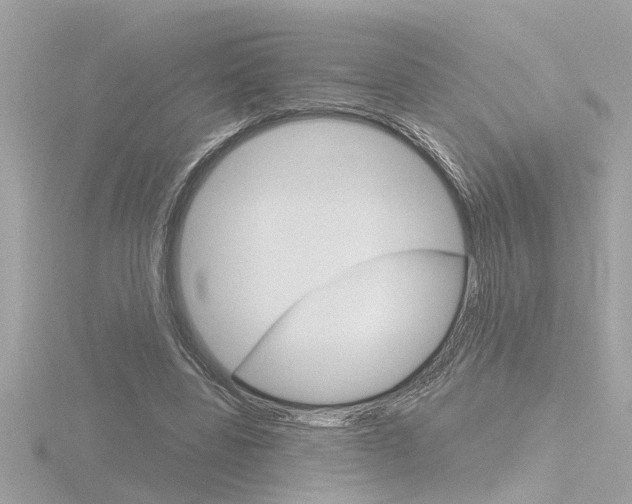 X0000116810539200912181056