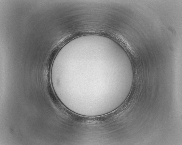 X0000116810542200912181056