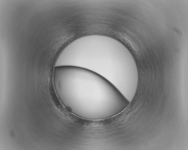 X0000116810546200912181056
