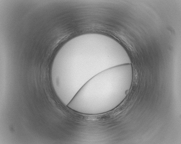 X0000116810547200912181056