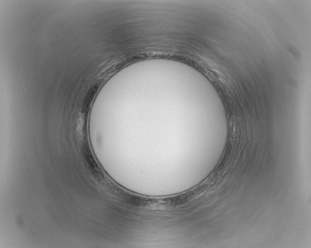 X0000116810550200912181056