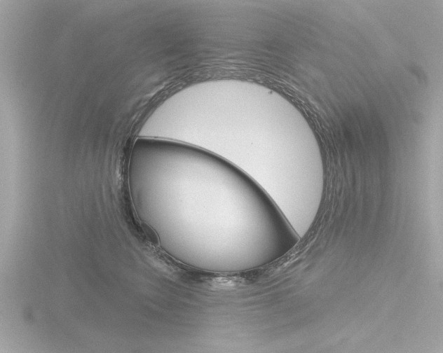 X0000116810566200912181056